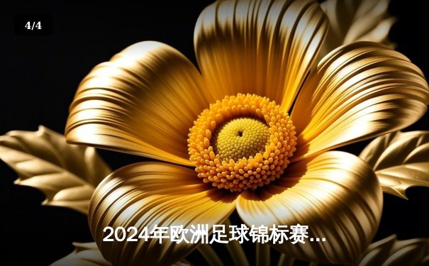 2024年欧洲足球锦标赛决赛：英格兰2-1绝杀德国夺冠，凯恩加时点球定江山 - 4