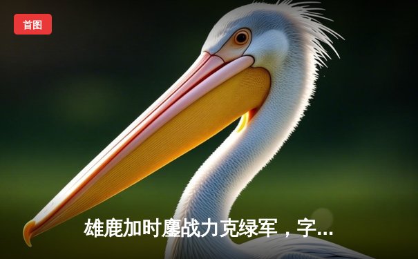 雄鹿加时鏖战力克绿军，字母哥40+三双闪耀东决预演